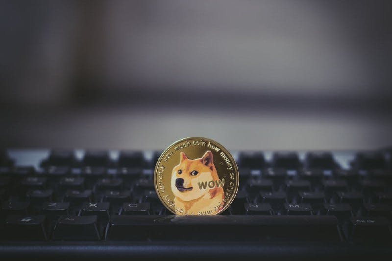 Google Searches for Dogecoin Spiked about 2000% Featured Image